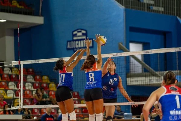 professional volleyball match